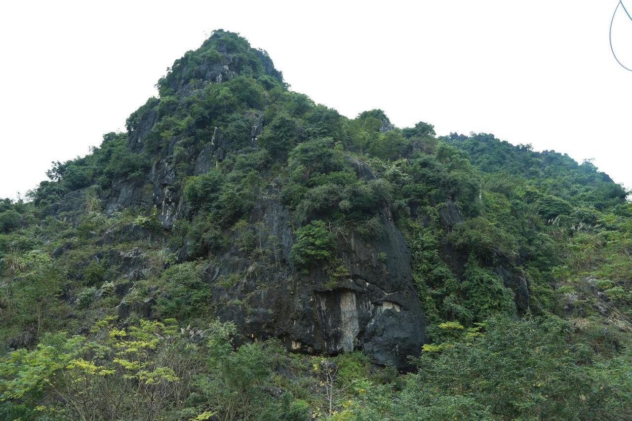 Gold Plus Hotel Phong Nha Esterno foto