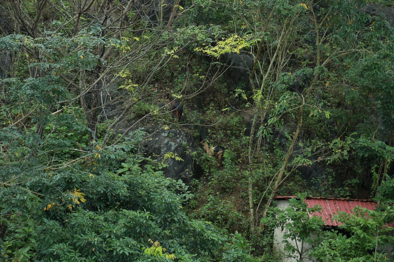 Gold Plus Hotel Phong Nha Esterno foto