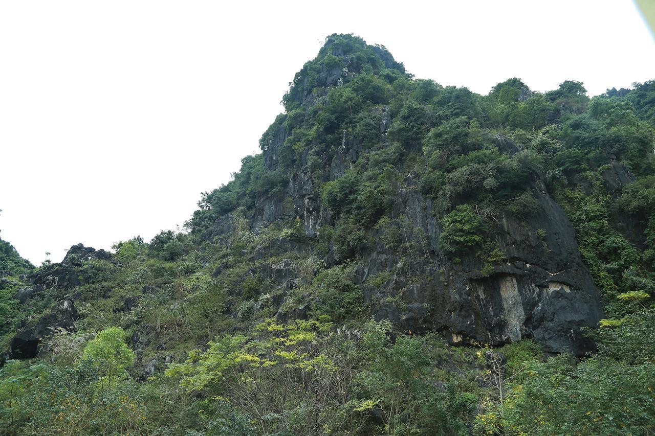 Gold Plus Hotel Phong Nha Esterno foto