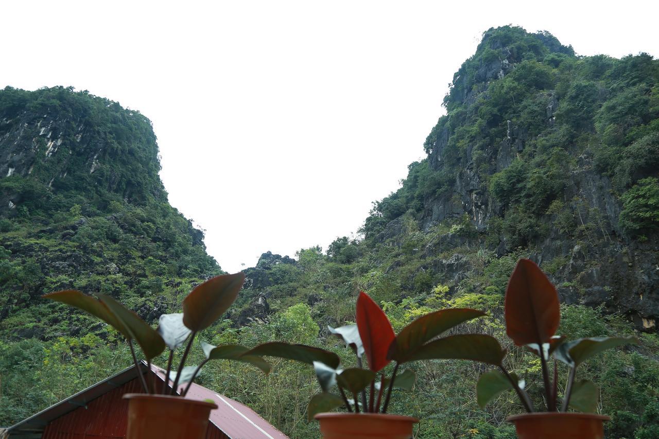 Gold Plus Hotel Phong Nha Esterno foto
